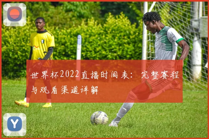 世界杯2022直播时间表：完整赛程与观看渠道详解