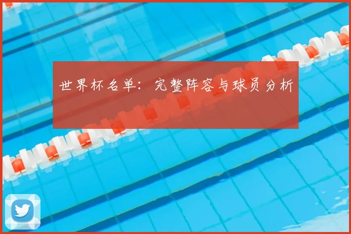 世界杯名单：完整阵容与球员分析