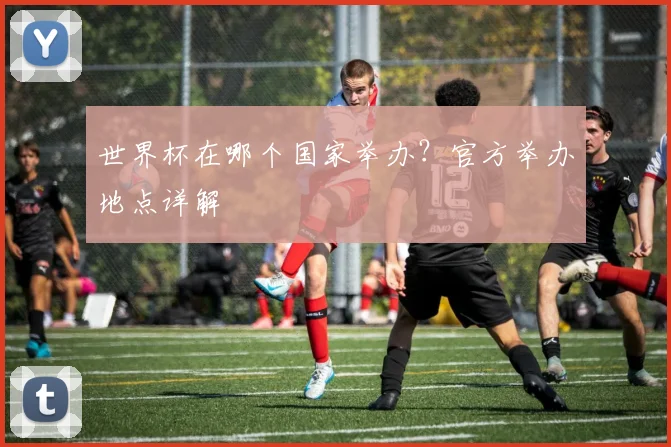 世界杯在哪个国家举办？官方举办地点详解