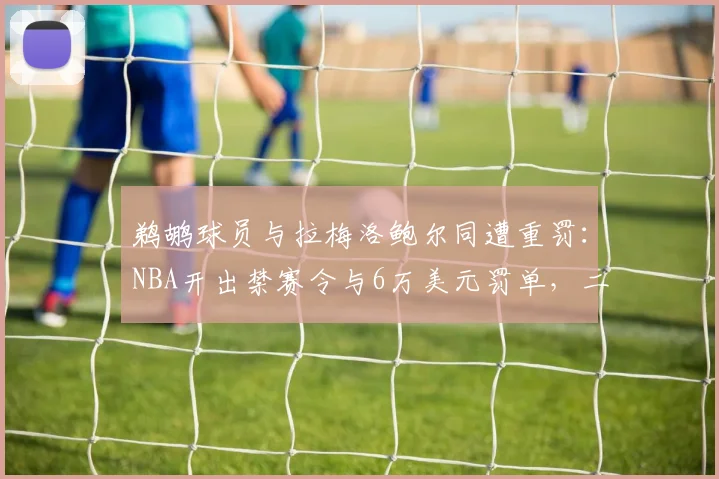 鹈鹕球员与拉梅洛鲍尔同遭重罚：NBA开出禁赛令与6万美元罚单，二级恶意犯规成焦点
