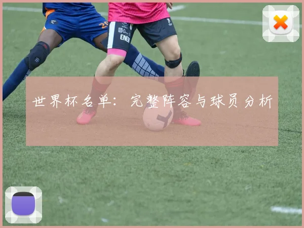 世界杯名单：完整阵容与球员分析